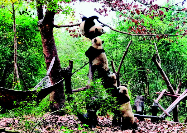 桂林人春节去哪里玩最好,桂林人去哪里旅游便宜又好玩