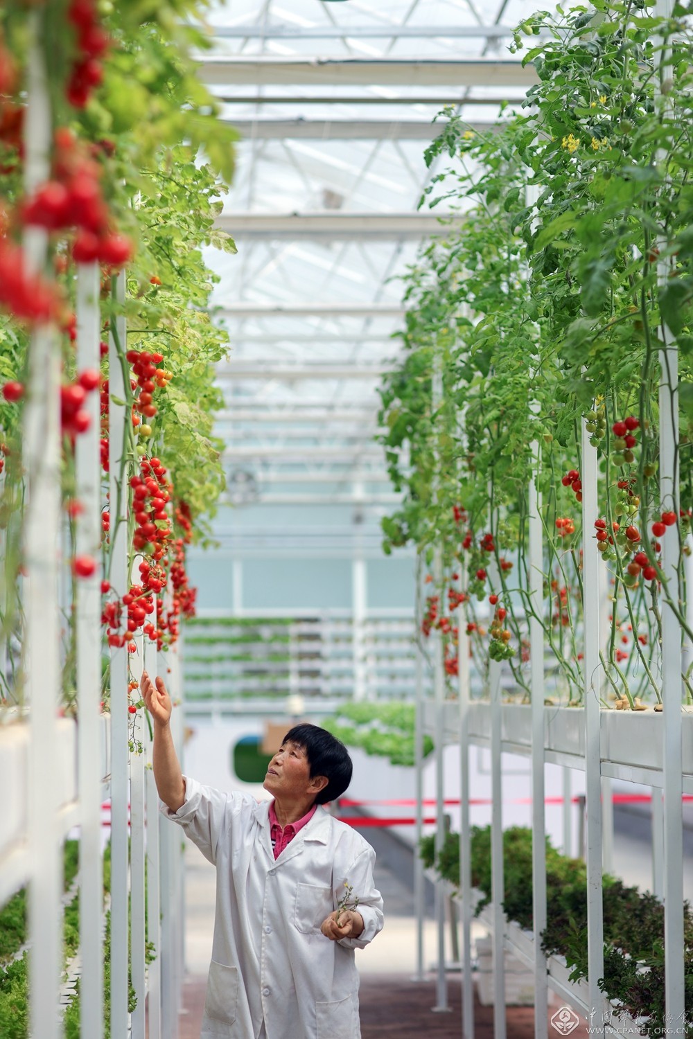 我为群众办实事活动献言献策,石家庄市我为群众办实事擂台赛