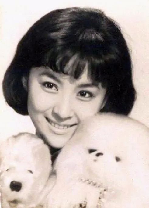 85岁谢贤获封金像奖影帝,85岁谢贤获影帝视频