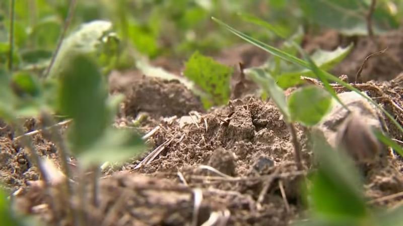 美国土壤和水中惊现类鼻疽病原菌，致死率50%！可怕，人普遍易感