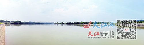 水质变绿发臭怎么办,广东河水绿色发臭