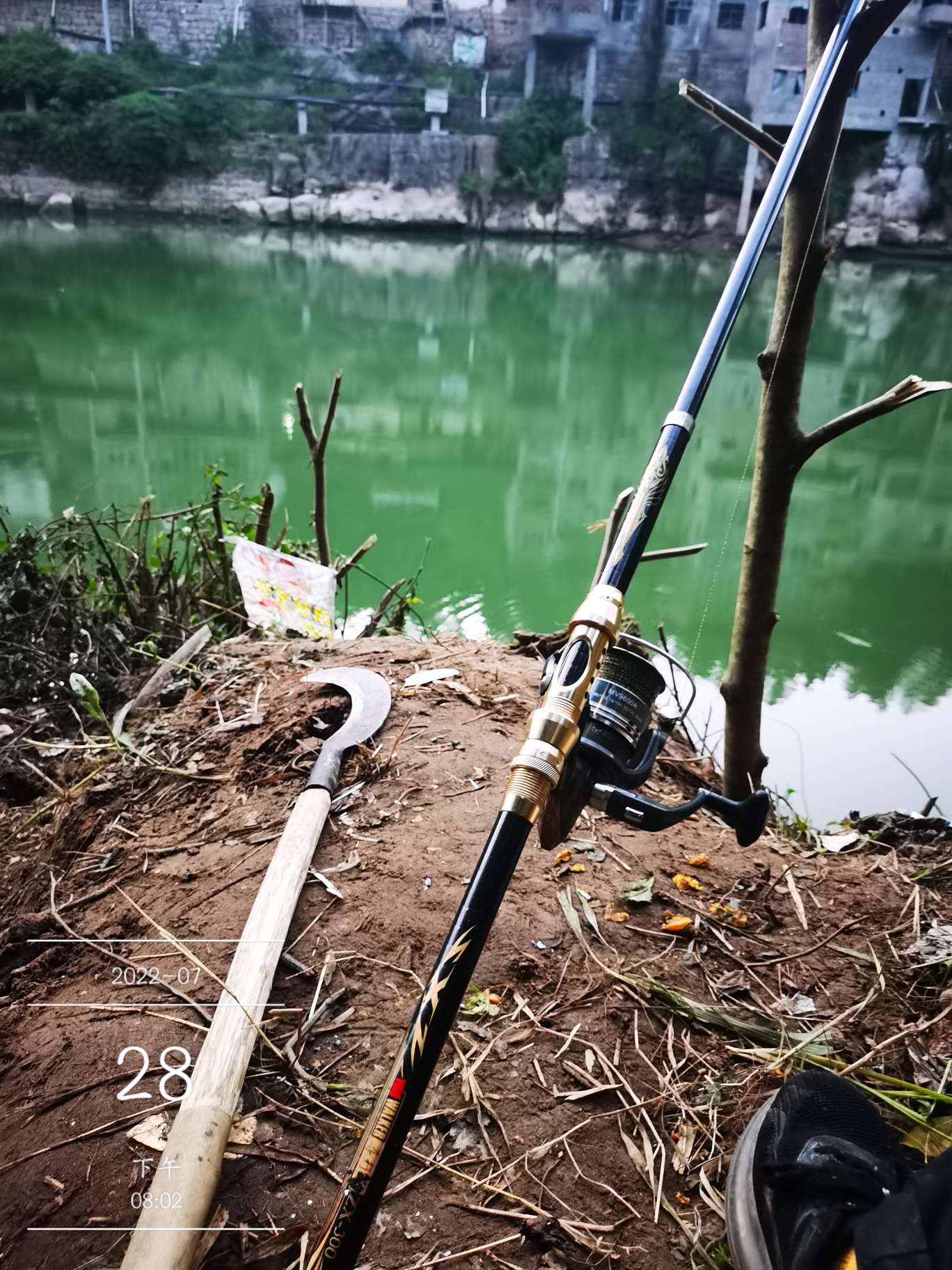 「七月鱼获」骗最憨的巨草！上最憨的洋当