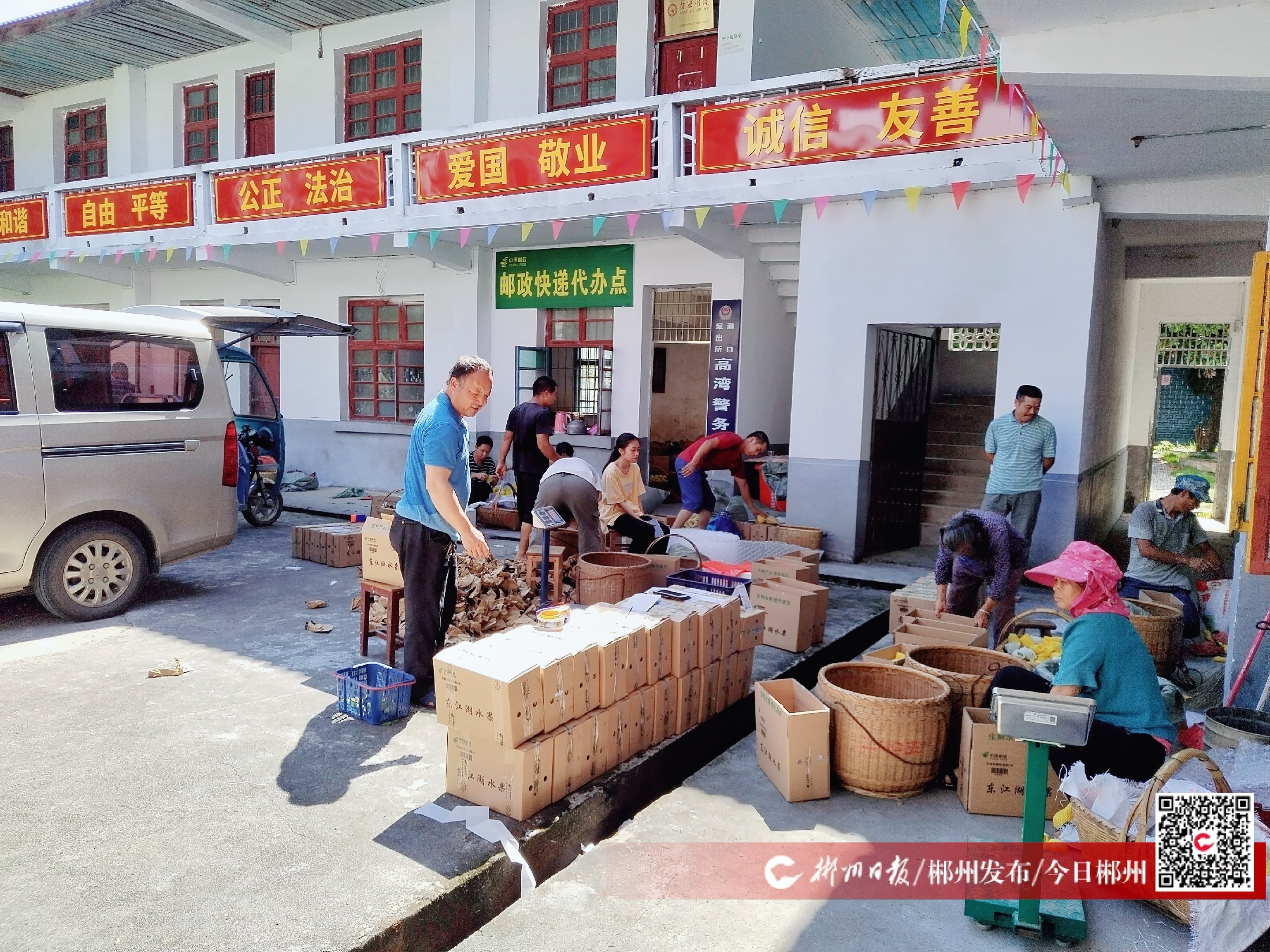 乡村振兴农村电商发展,乡村振兴脐橙电商