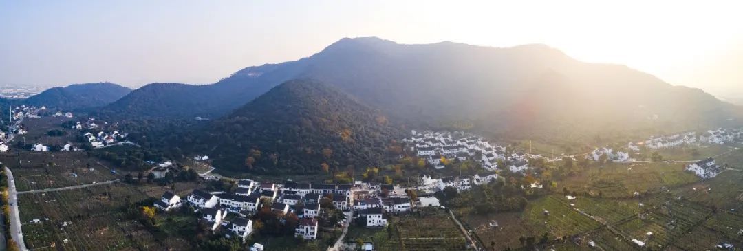 苏州赏花旅游攻略一日游,苏州花海旅游攻略