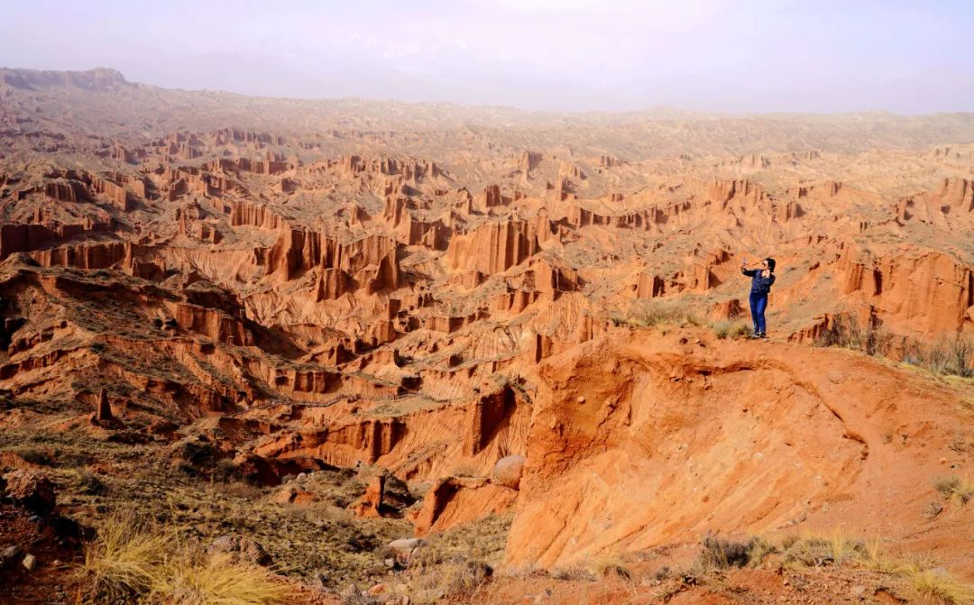 非凡十年出彩孟津,非凡十年焕新启航