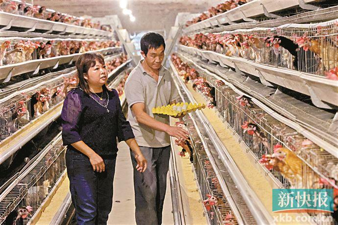 一二三产业不断融合发展,一二三产齐头并进