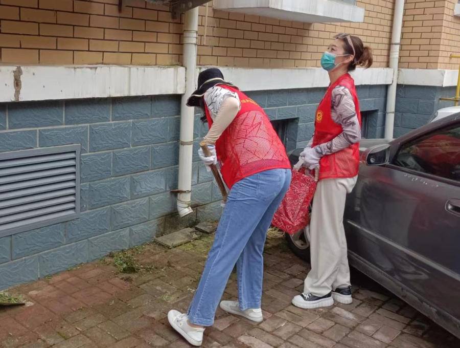 创城进行时｜同心志愿为民生，齐心协力共创城