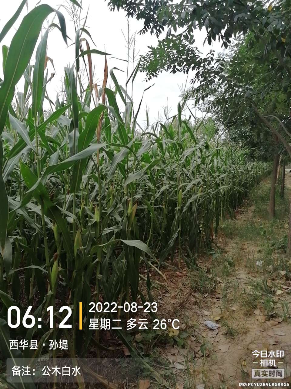 8月里面的鱼怎么钓,钓位选什么鱼最好