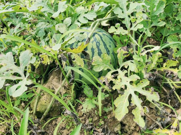 中国建设银行九江市分行,中国建设银行江西省分行总部