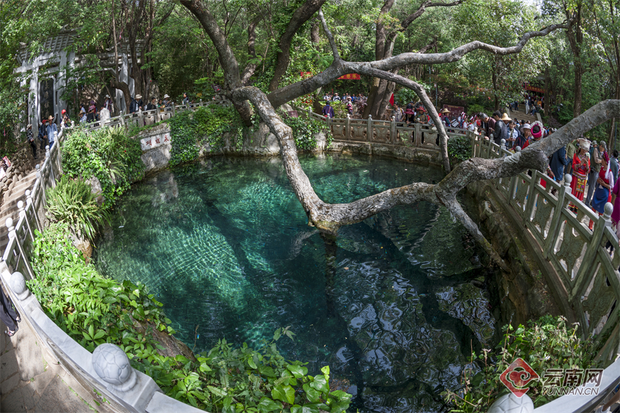 早安云南大理,大理蝴蝶泉景区与五朵金花