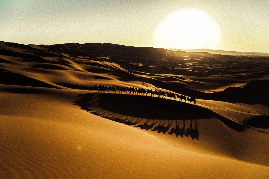 在九月要干什么工作好,九月最想做的事情