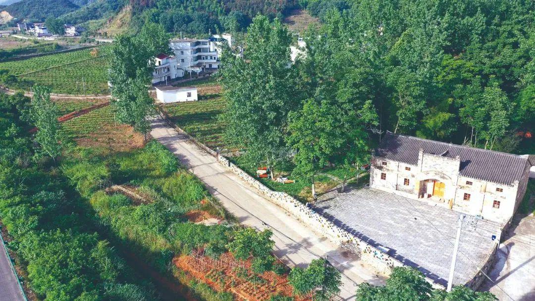 这个村,一条小黑狗像影子一样跟着我