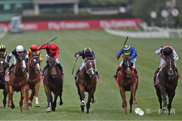 五匹马同时冲线，奖金怎么分？