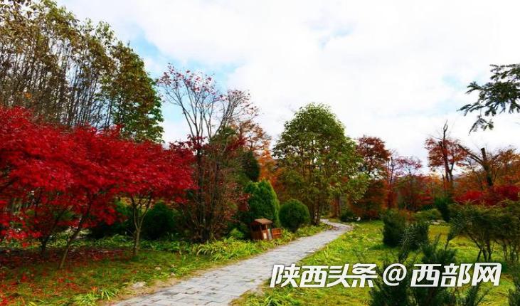 陕西推荐六条生态特色游路线,陕西最美旅游攻略