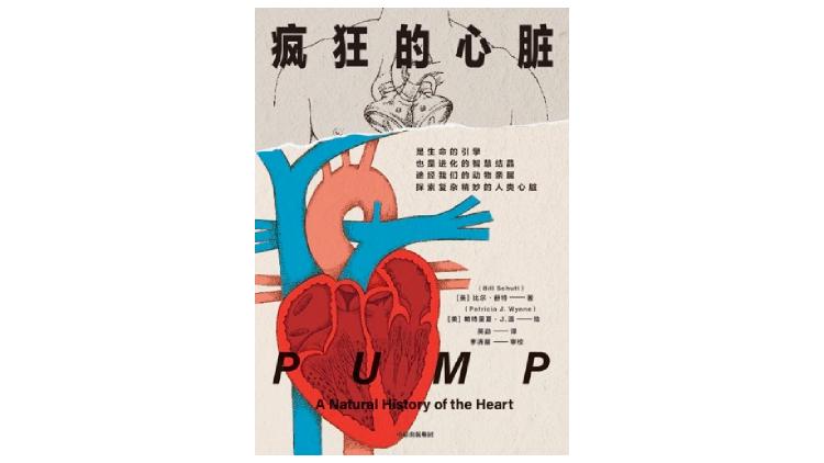 世界心脏日始于哪年,世界心脏日是多少日