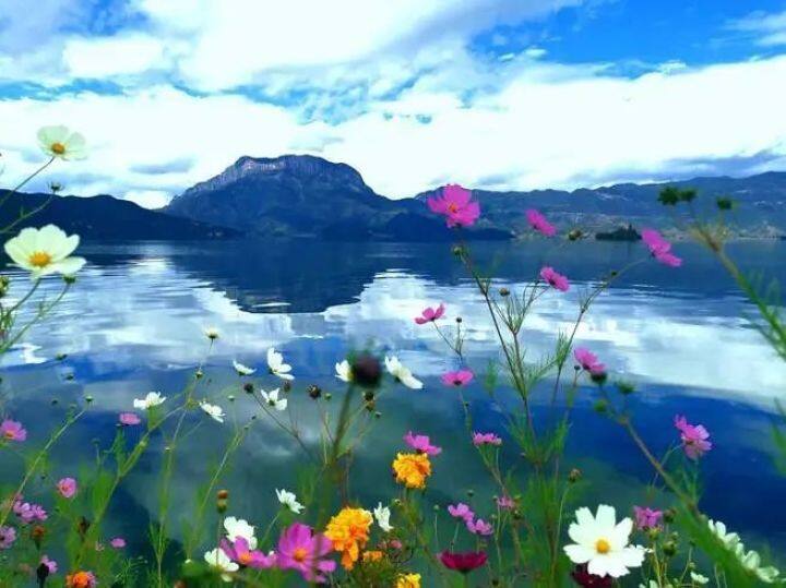 昆明最美的秋天,别眨眼带你看花海