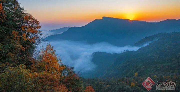 昆明最美的秋天,别眨眼带你看花海