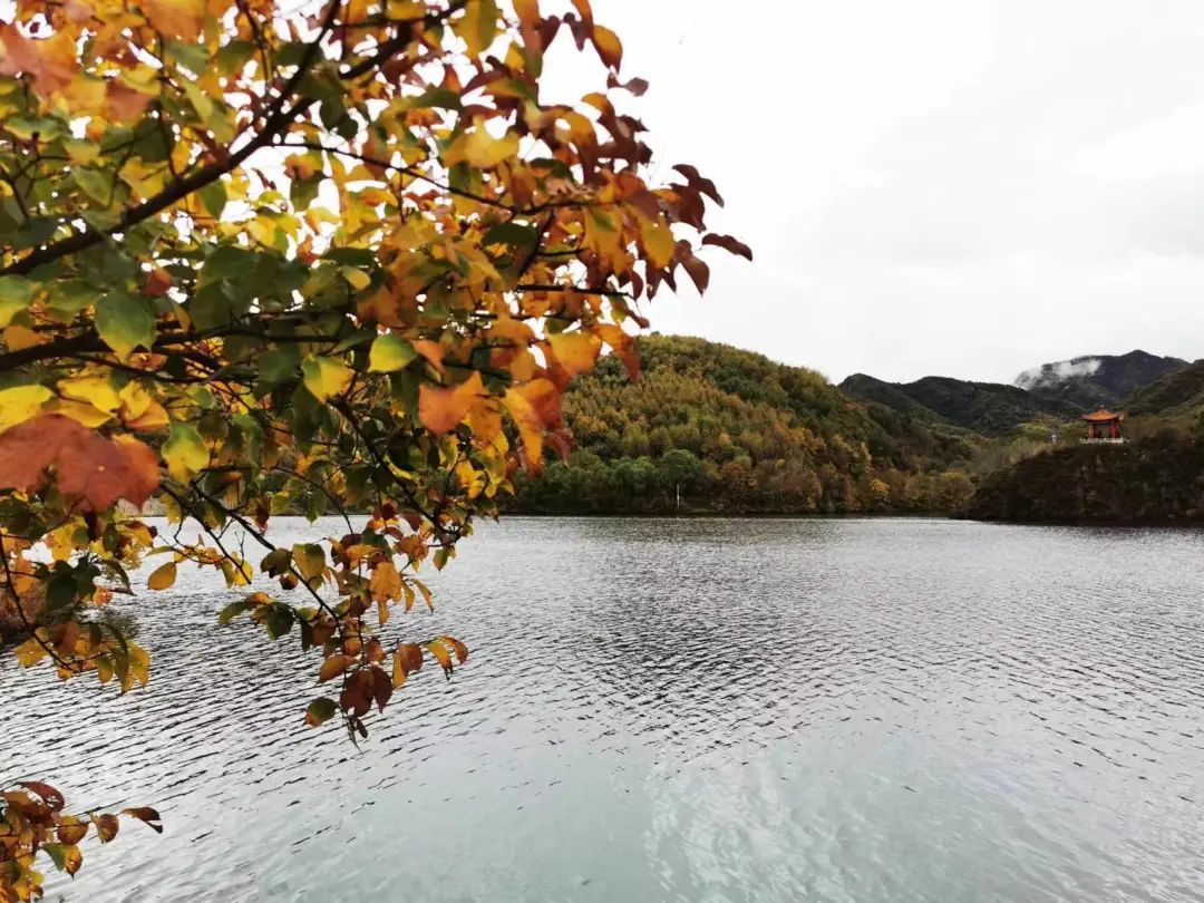 老俞讲人生感悟,老俞闲话人生