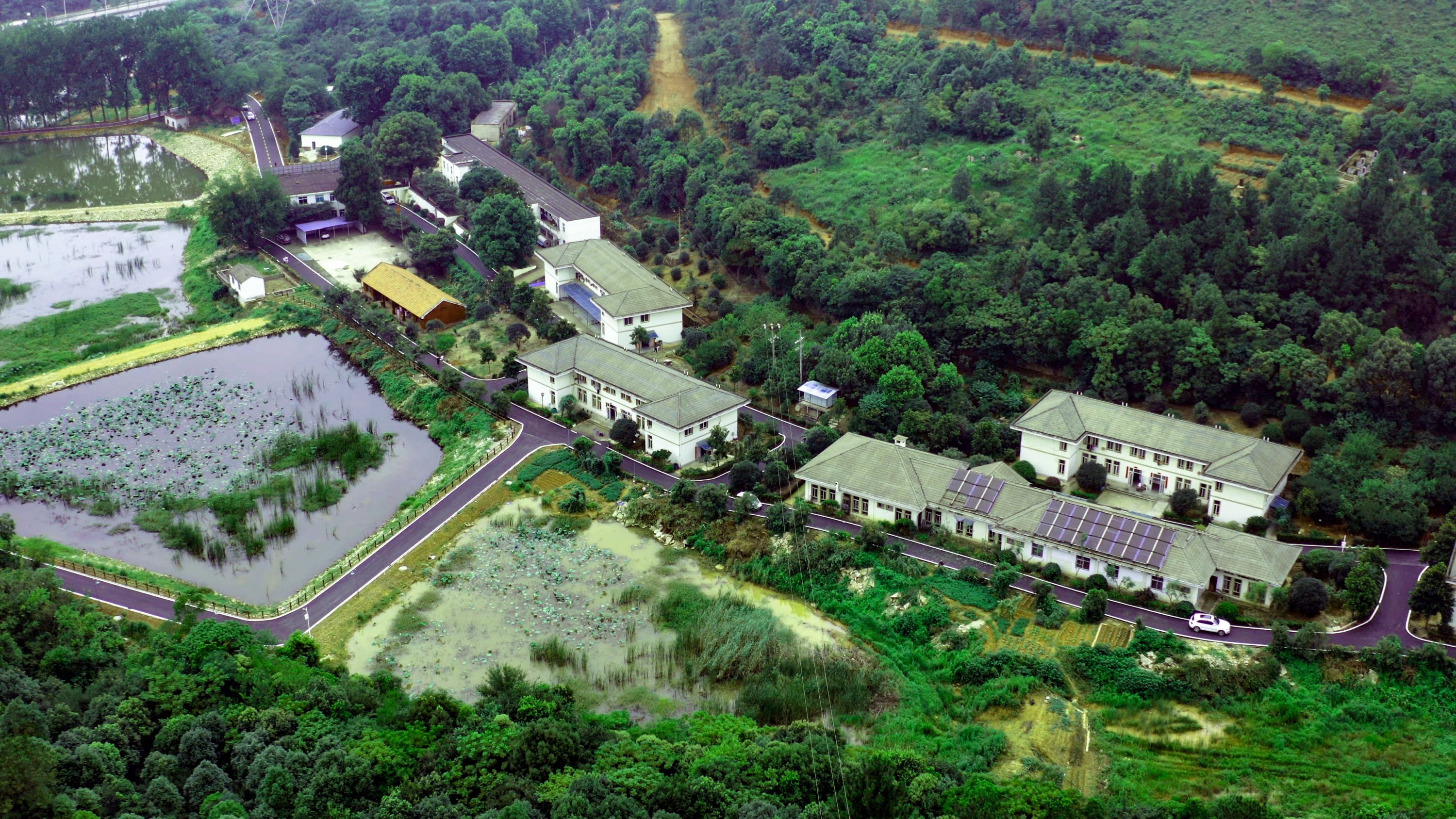 武汉市皮肤病防治研究所在哪,武汉市皮肤病防治院光谷院区