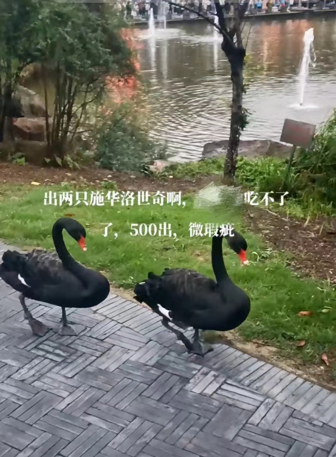 你退回去的商品都去哪儿了,你退掉的货去哪了