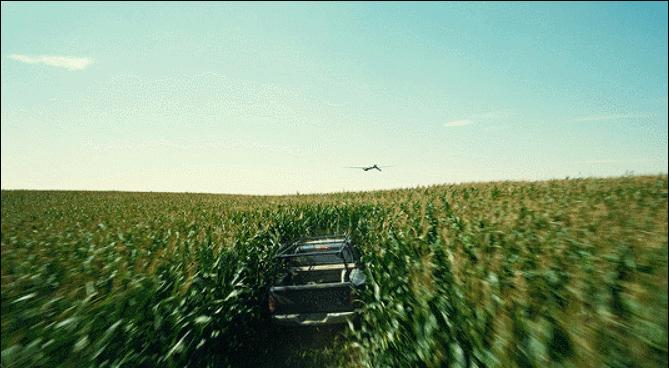 在星际穿越的玉米地摇花手,成了新的互联网荒诞艺术