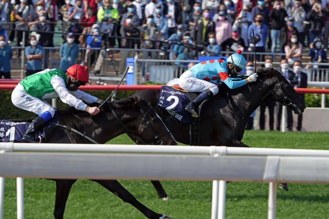 金枪60马王价值多少,金枪六十荣膺香港新马王