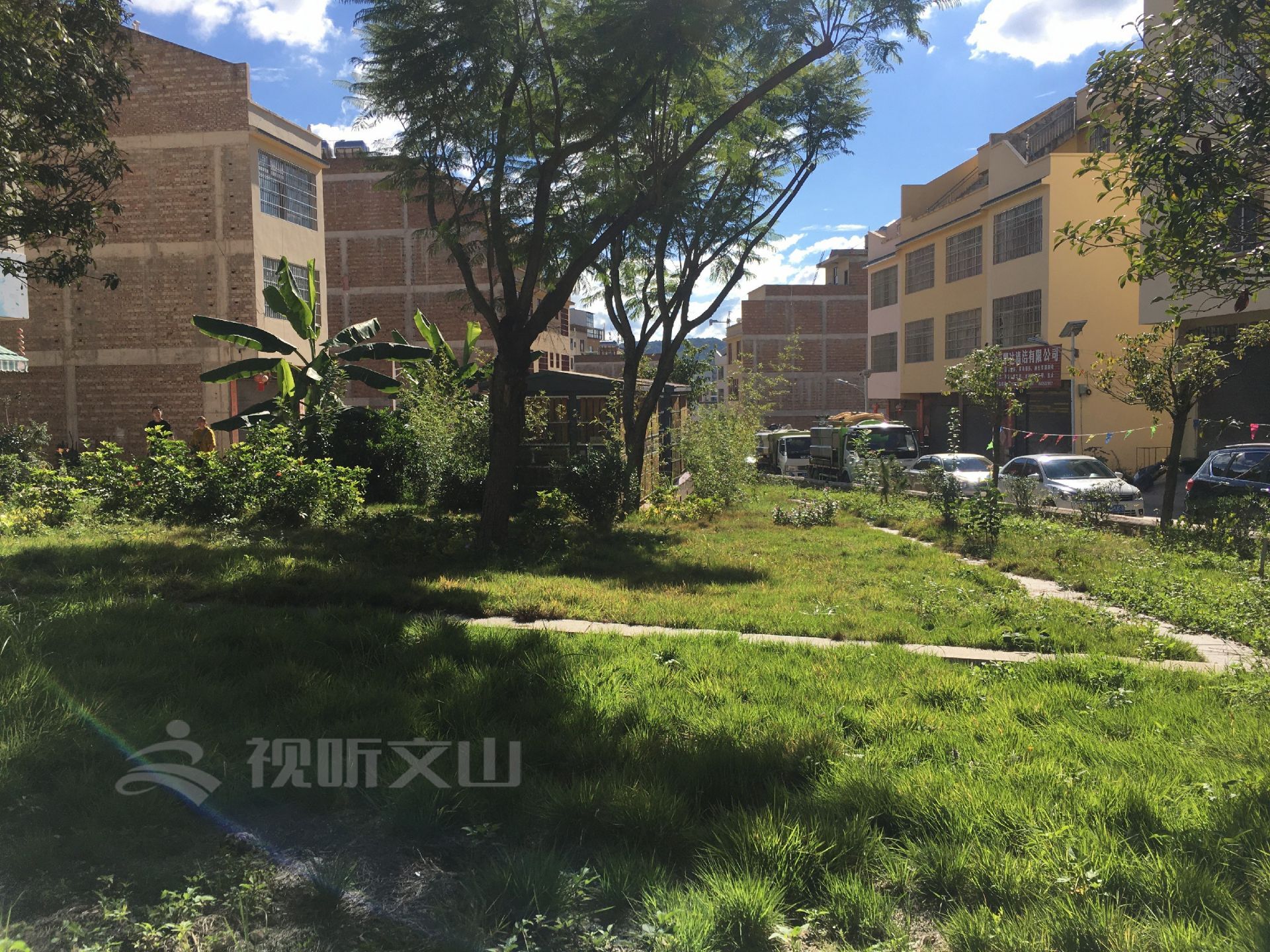 绿美乡村墙绘,绿美文山绘画