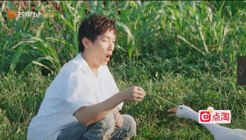 人变得越来越黄是怎么回事,为什么人的精神面貌会变