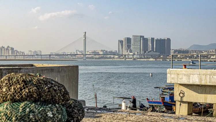 真正中国品牌鞋子,怎么找真正的莆田鞋