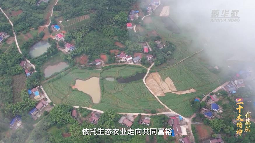 宁乡喻家坳乡栀子小镇,宁乡移动助力栀子小镇