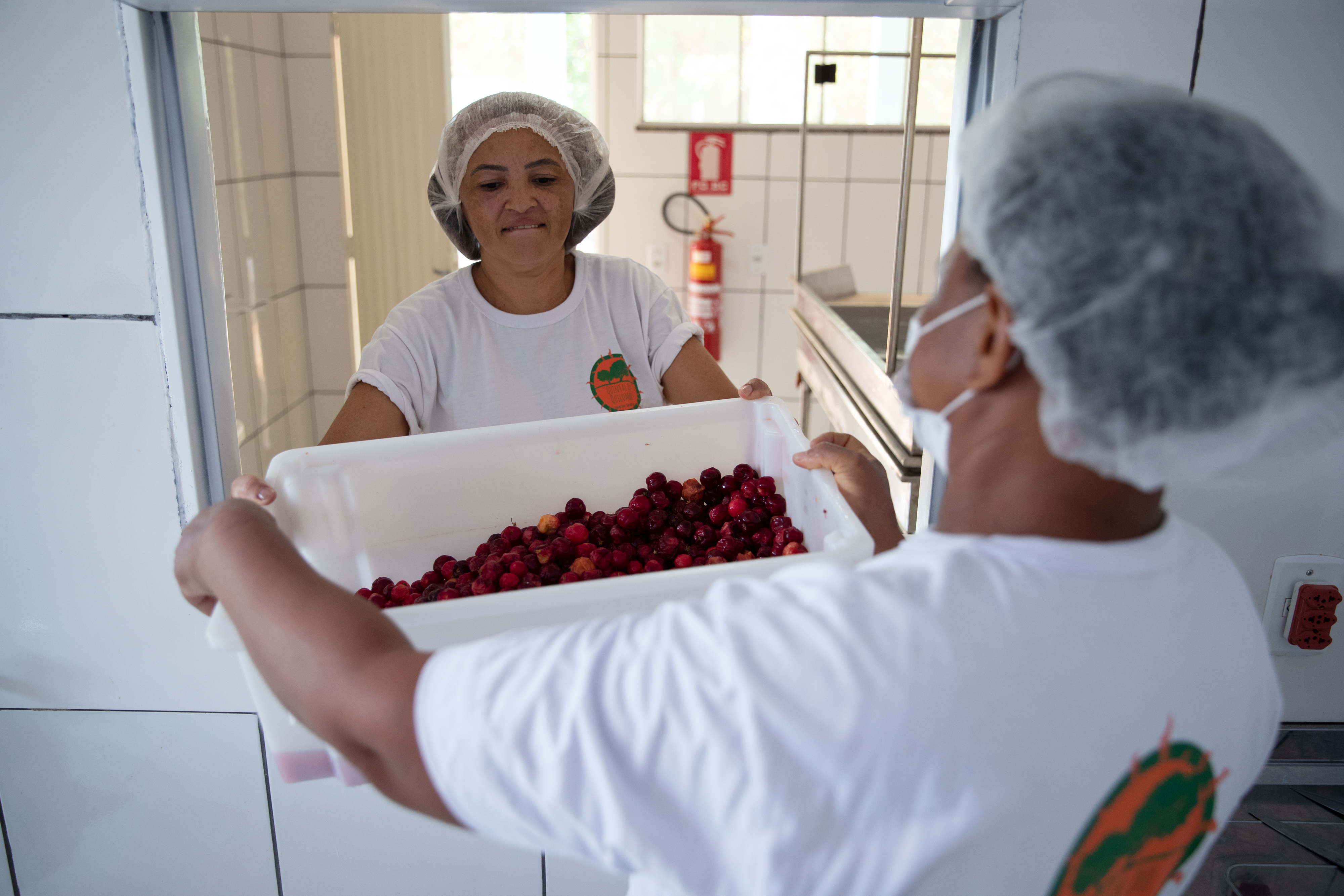 元首外交｜不以山海为远中国巴西携手前行