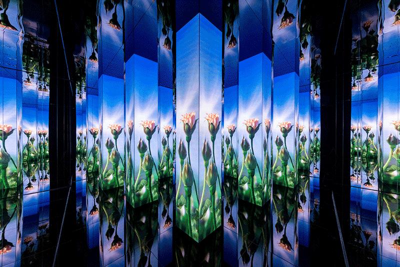 兰蔻菁纯艺术展预热,兰蔻菁纯艺术之夜