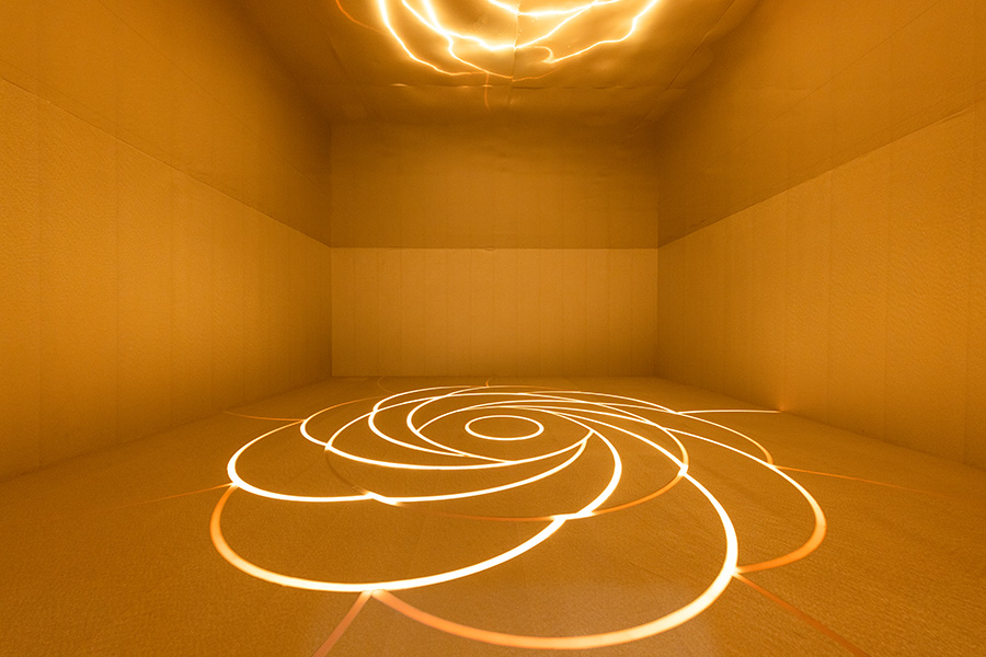 兰蔻菁纯艺术展预热,兰蔻菁纯艺术之夜