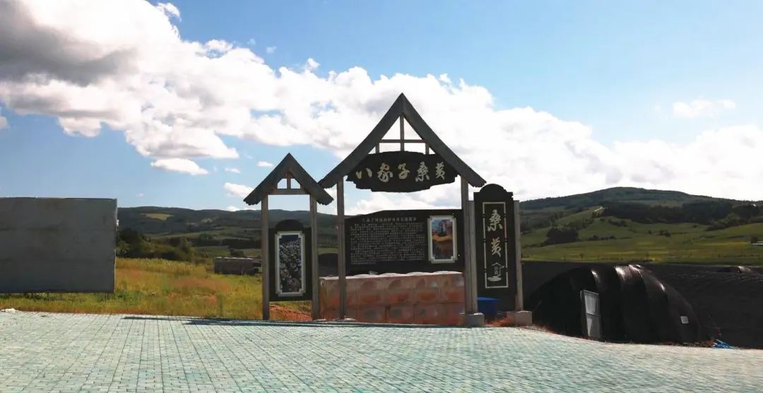 央视新闻客户端:吉林和龙电力“满格赋能”铺就乡村致富路