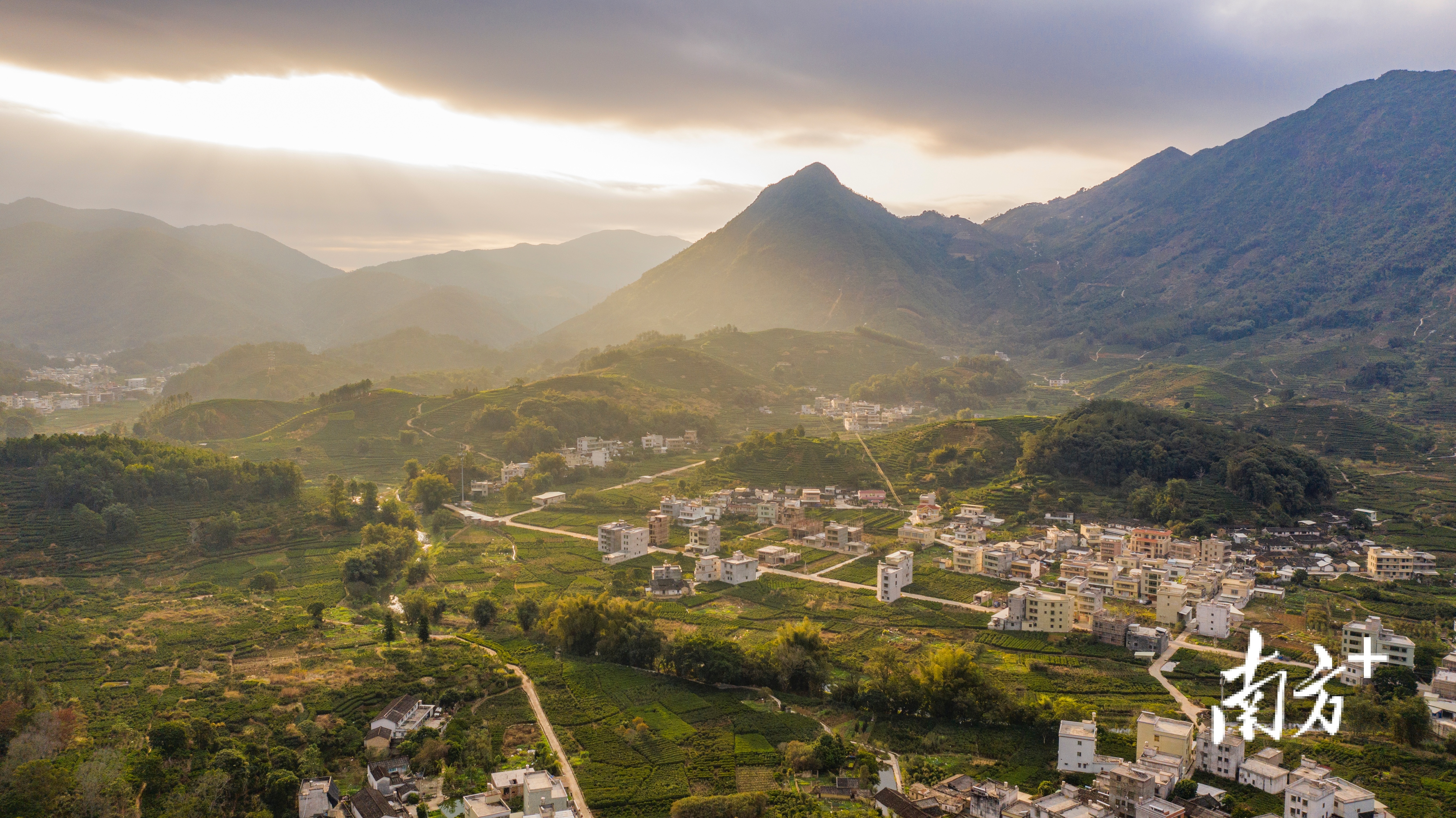 潮州2023凤凰单丛茶博会,潮州凤凰单丛茶直播第一名