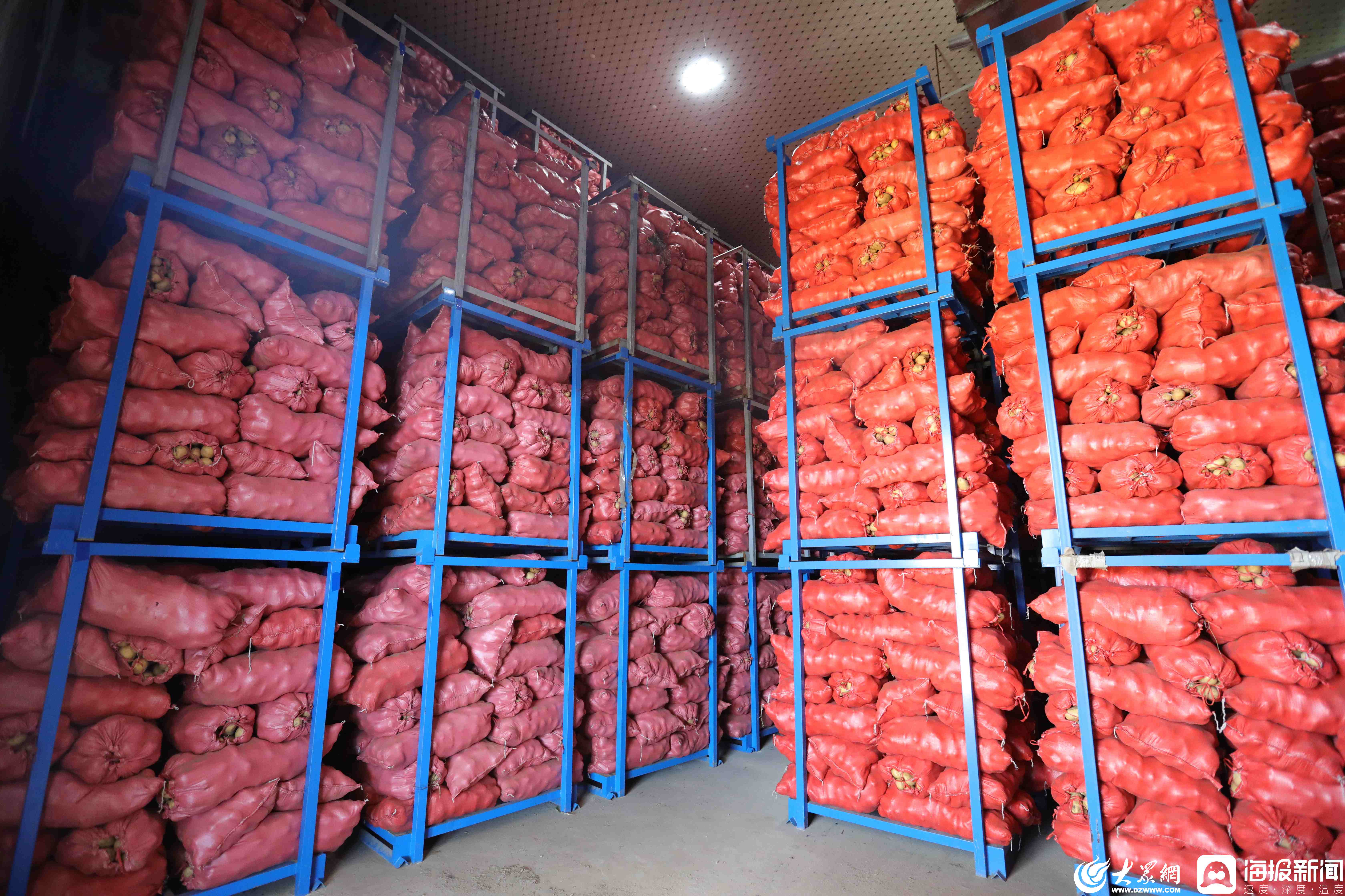 风补基金活水浇灌兰陵县让土豆成为“金蛋蛋”