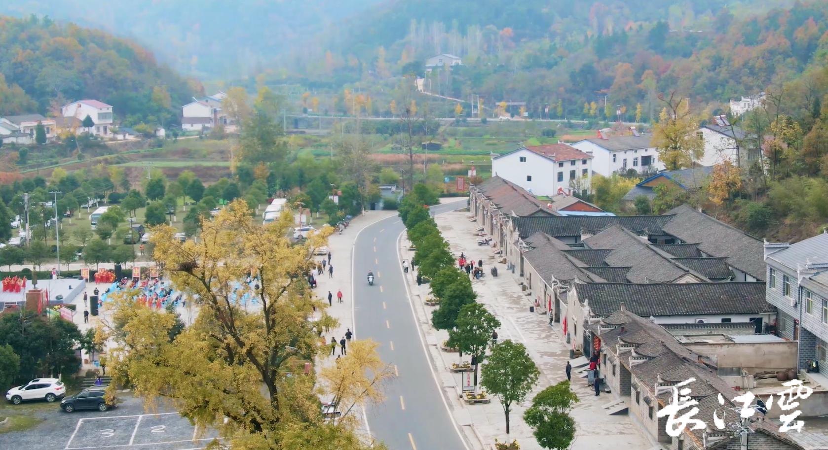 随州千年银杏谷11月能观赏吗,2018随州银杏谷观赏时间