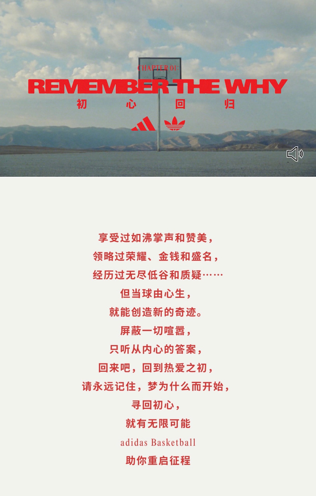 fogxadidas区域限定,adidas预售款