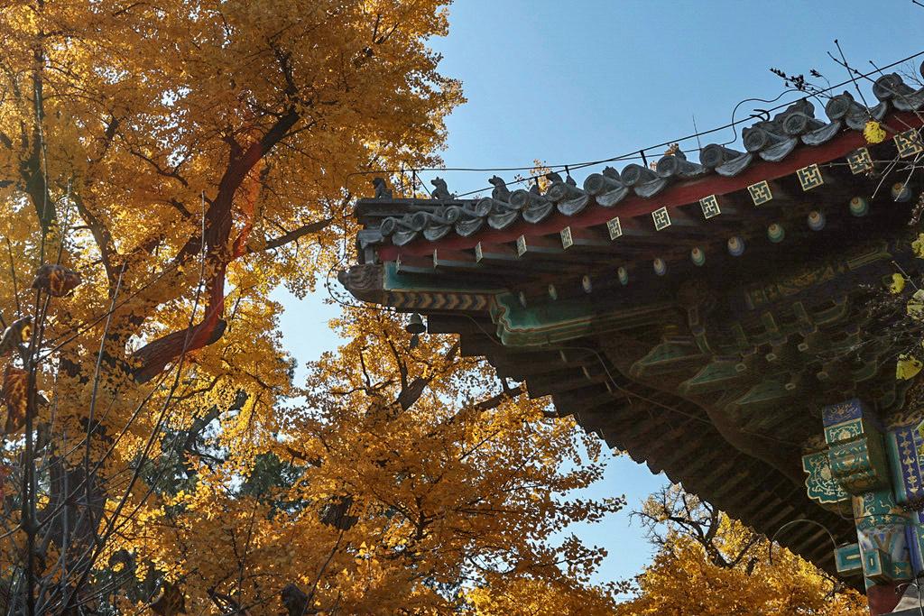 红螺寺秋游攻略,秋游千佛山森林公园