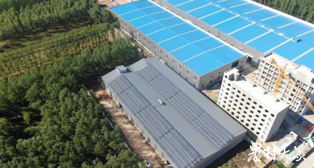 “崮”事新编·这十年|涝子峪:盘活低效地,寸土生寸金