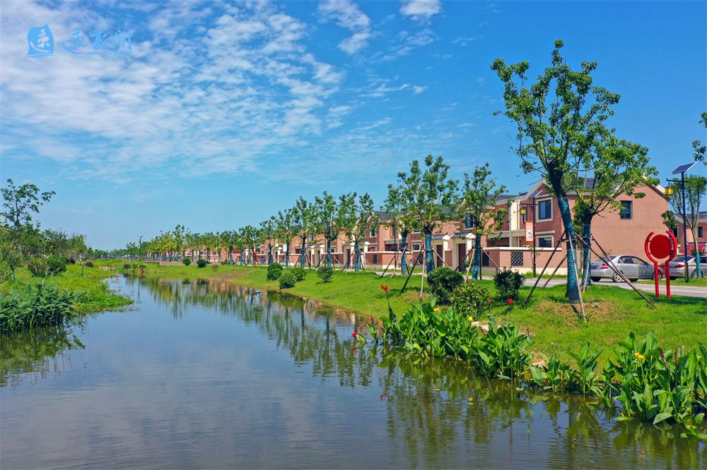 探索致富产业描绘乡村振兴新图景,以特色产业发展引领乡村全面振兴