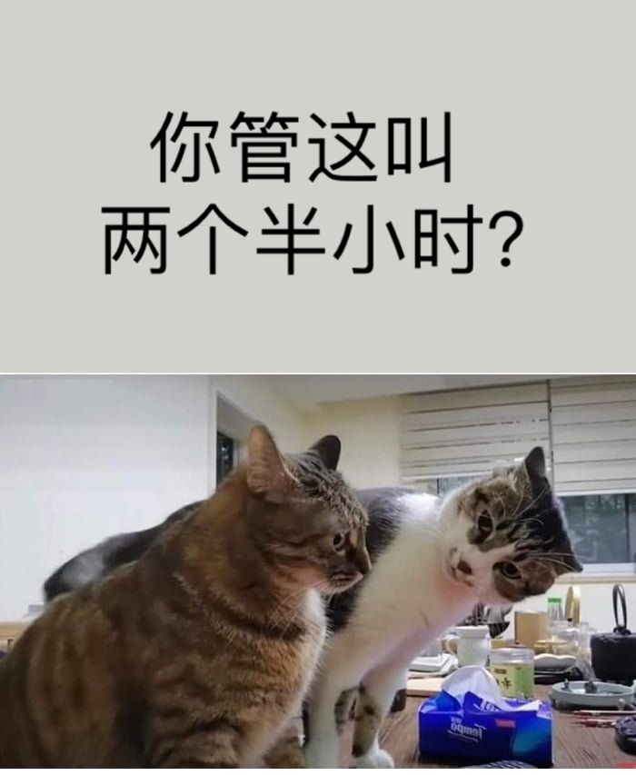 摸鱼三分钟和十分钟的差距,摸鱼三思后行