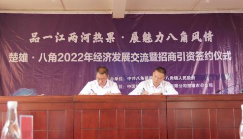 街道多措并举推进项目工作简报,楚雄市八角镇推进产业融合发展