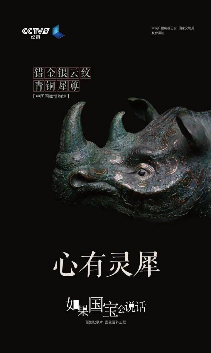 一些来自央视的神仙文案,央视神仙文案配音