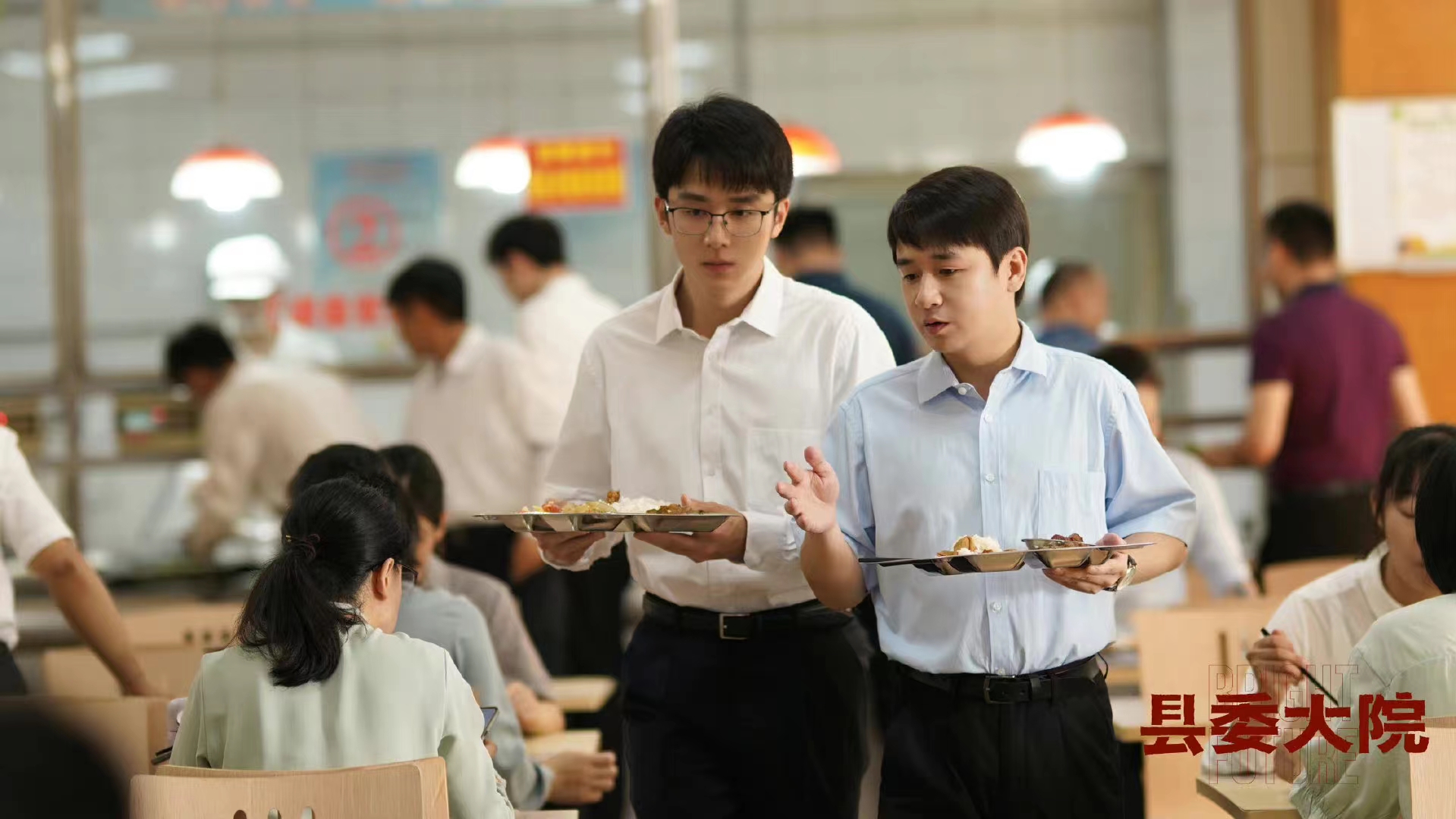 县委大院最重的石头,县委大院里面