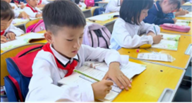 杨善寨小学培训班,未央区杨善寨小学