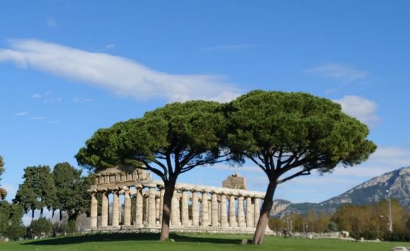 出国旅游机票有保障吗,出境游价格还能恢复正常吗
