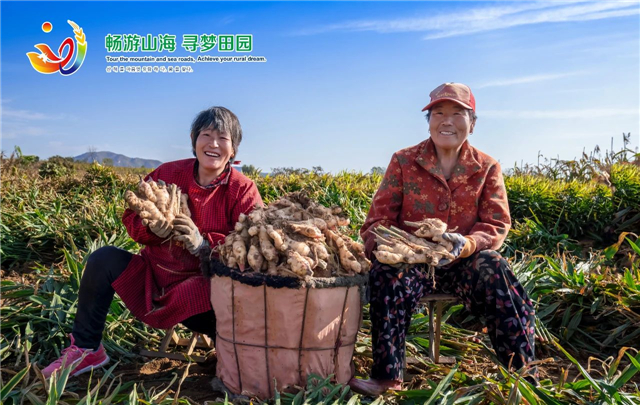 威海“姜”山如此多娇，引无数英雄竞折腰