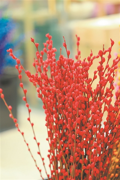 元旦节刊·花市|花如海人如潮，行过花街才过年