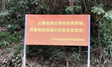 4岁小孩散步时被狗抓伤臀部，狗主人却不认账！法院这样判
